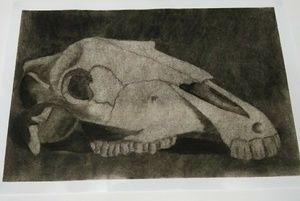 **SALE** Original Art Work Horse Skull Poster